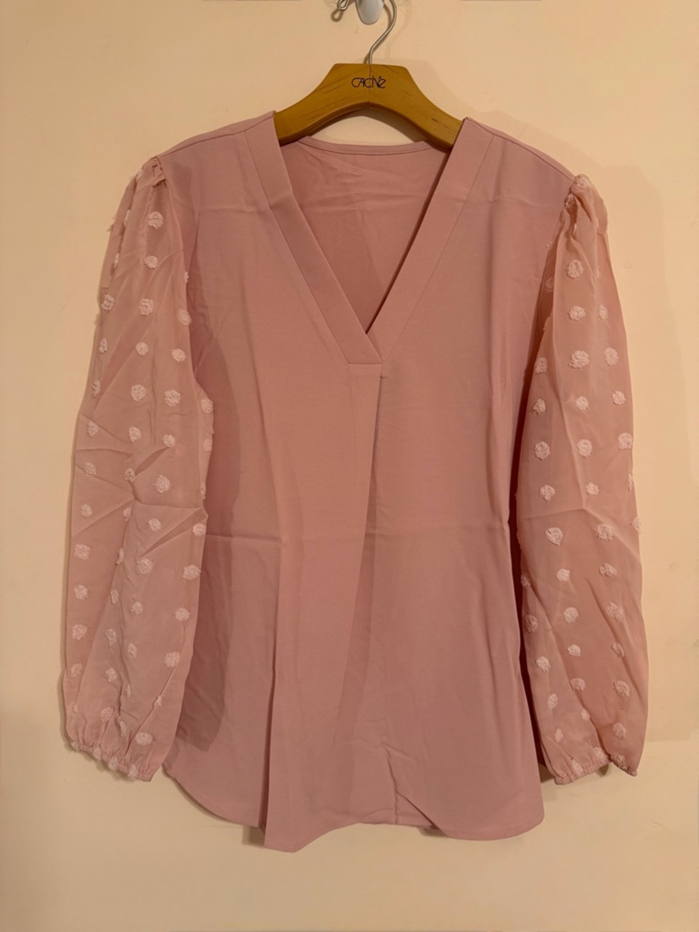 Pink Swiss Dot Sleeve Blouse